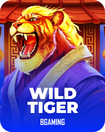 Slot Mystake